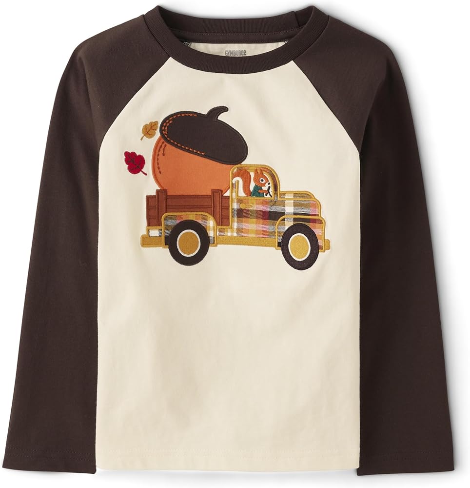 Gymboree Boys' and Toddler Embroidered Graphic Long Sleeve T-Shirts