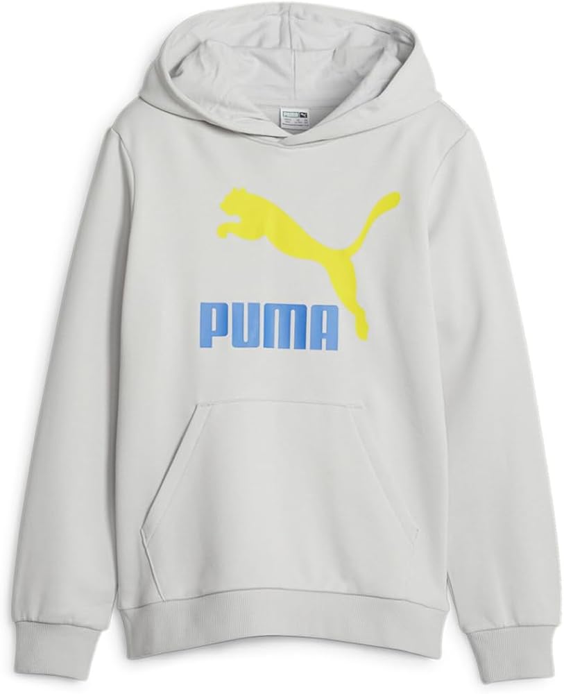 Puma Kids Boys Classics Logo Hoodie Casual Outerwear Casual Hoodie - Grey