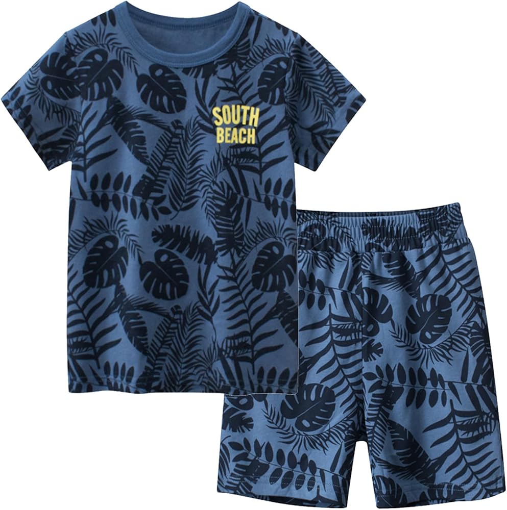 Toddler Boy Summer Clothes Cotton Clothing Set Short Sleeve T shirt and Shorts Outfit 2-5T