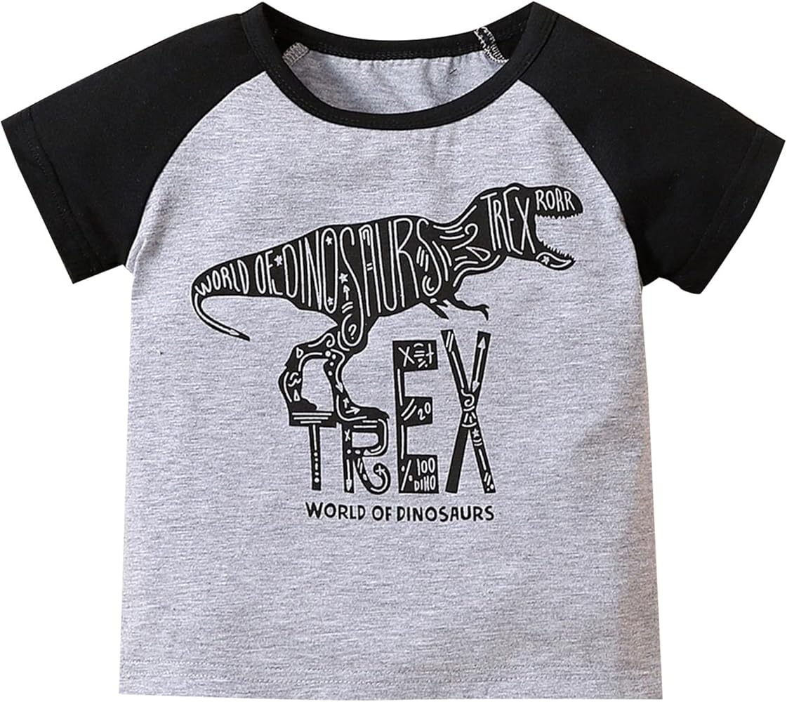 Summer Toddler Boys Girls Short Sleeve Cartoon Prints Casual Tops for Kids Clothes Boys Tee Shirts (Grey, 18-24 Months)