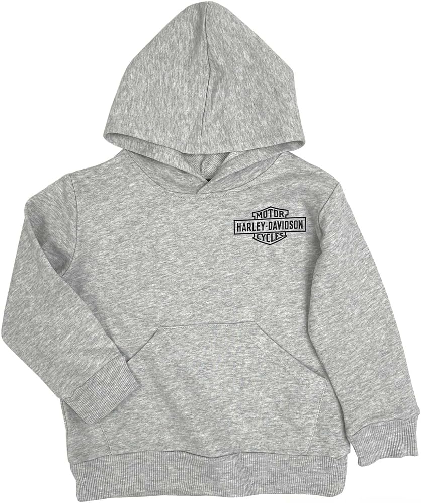 Harley-Davidson Little Boys' B&S Logo Fleece Terry Pullover Hoodie - Gray