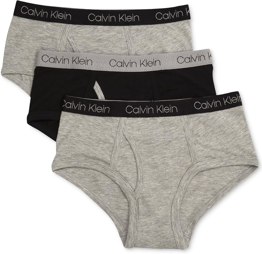 Calvin Klein Little Boys' Assorted 3 Pack Briefs (Heather Grey(I5132)/Grey/Black, Small)