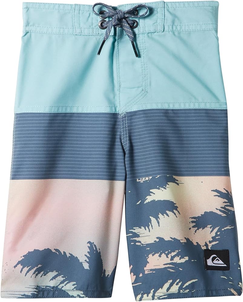 Quiksilver Boys Everyday Panel 14 Boardshort Swim Trunk Bathing Suit